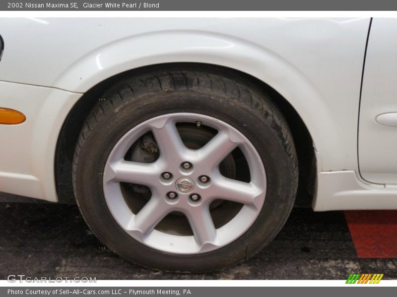 Glacier White Pearl / Blond 2002 Nissan Maxima SE