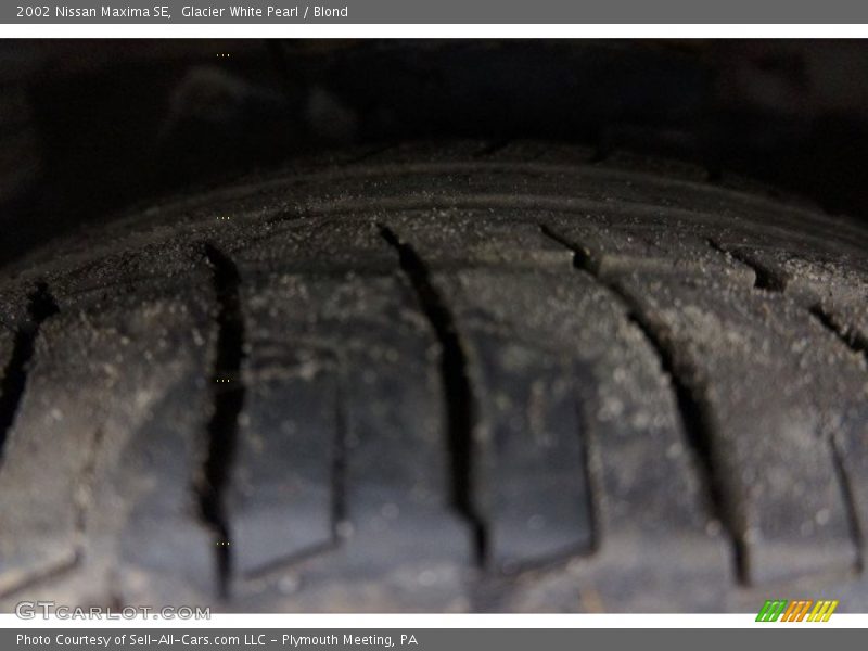 Glacier White Pearl / Blond 2002 Nissan Maxima SE
