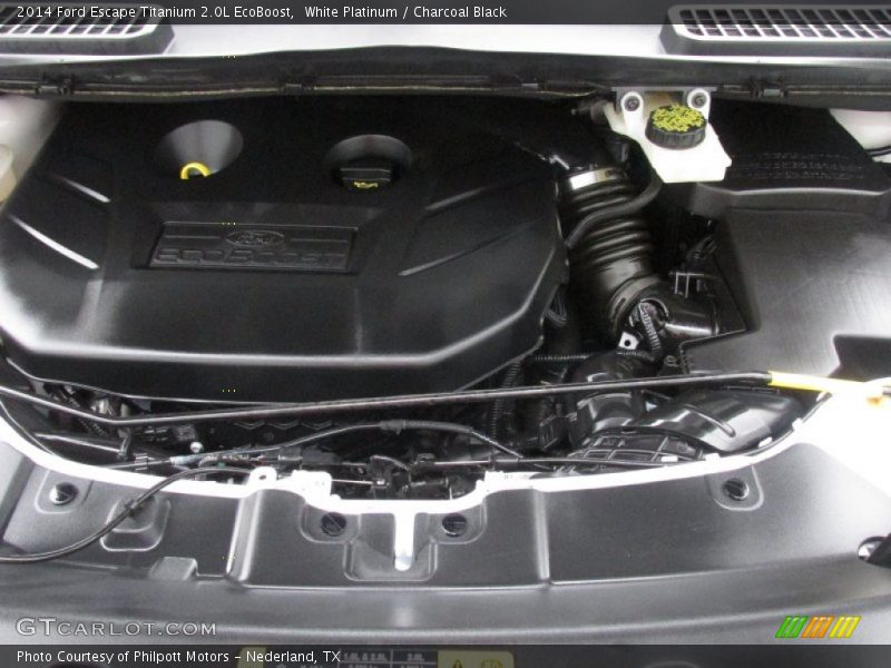 White Platinum / Charcoal Black 2014 Ford Escape Titanium 2.0L EcoBoost