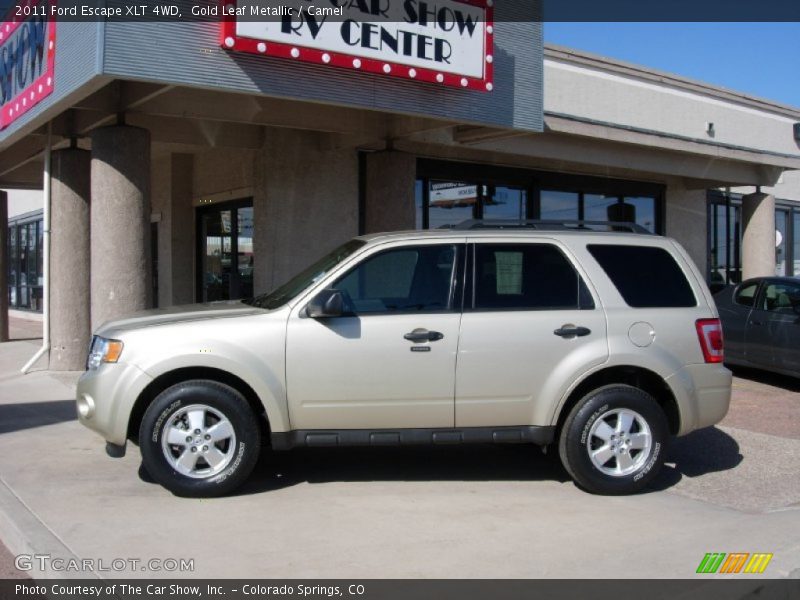 Gold Leaf Metallic / Camel 2011 Ford Escape XLT 4WD