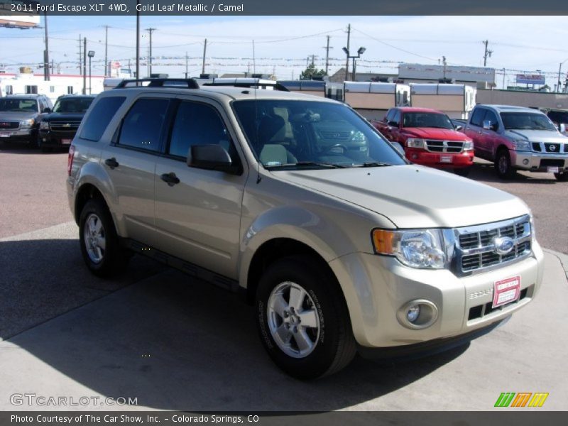 Gold Leaf Metallic / Camel 2011 Ford Escape XLT 4WD