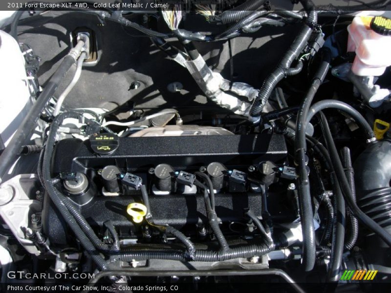 Gold Leaf Metallic / Camel 2011 Ford Escape XLT 4WD