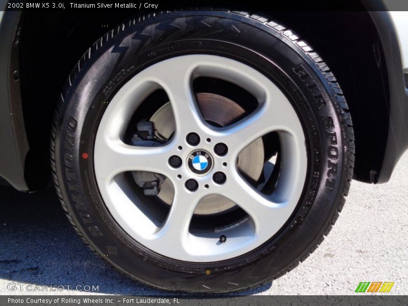 Titanium Silver Metallic / Grey 2002 BMW X5 3.0i