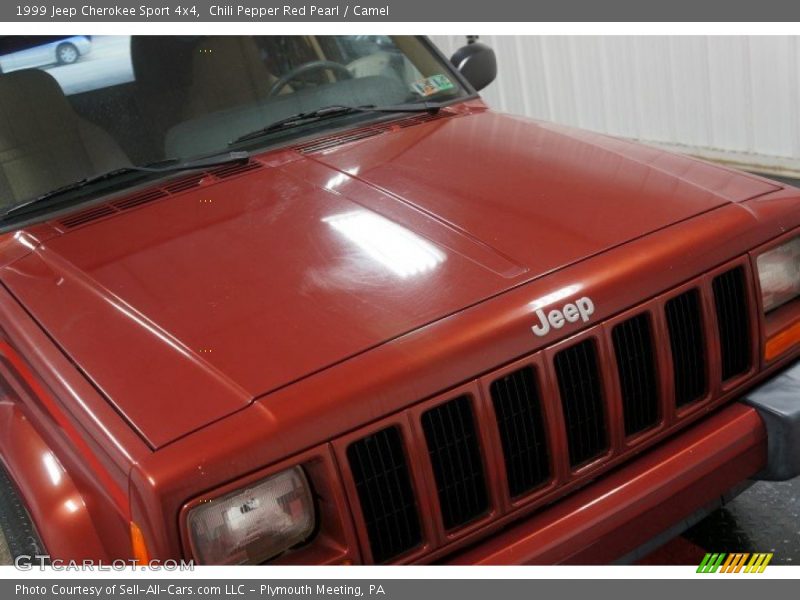 Chili Pepper Red Pearl / Camel 1999 Jeep Cherokee Sport 4x4