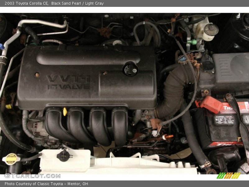 Black Sand Pearl / Light Gray 2003 Toyota Corolla CE