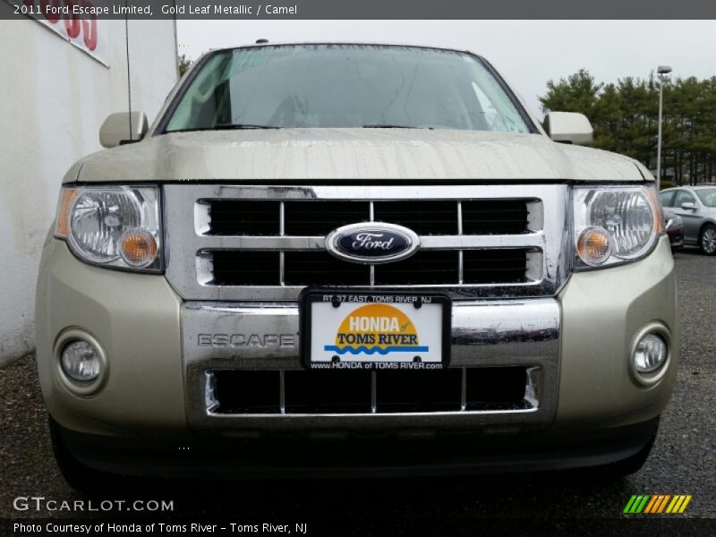 Gold Leaf Metallic / Camel 2011 Ford Escape Limited