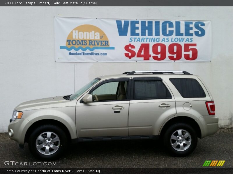 Gold Leaf Metallic / Camel 2011 Ford Escape Limited