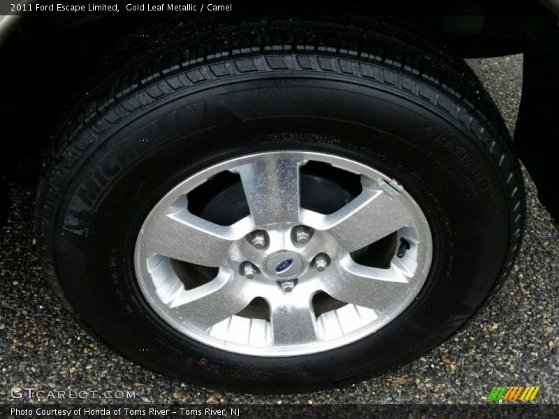 Gold Leaf Metallic / Camel 2011 Ford Escape Limited
