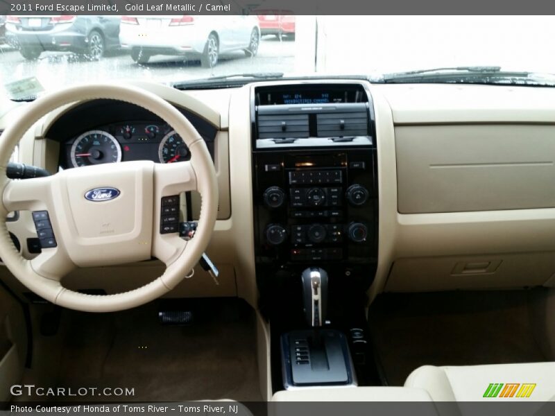 Gold Leaf Metallic / Camel 2011 Ford Escape Limited