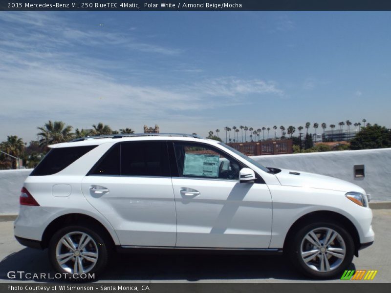 Polar White / Almond Beige/Mocha 2015 Mercedes-Benz ML 250 BlueTEC 4Matic
