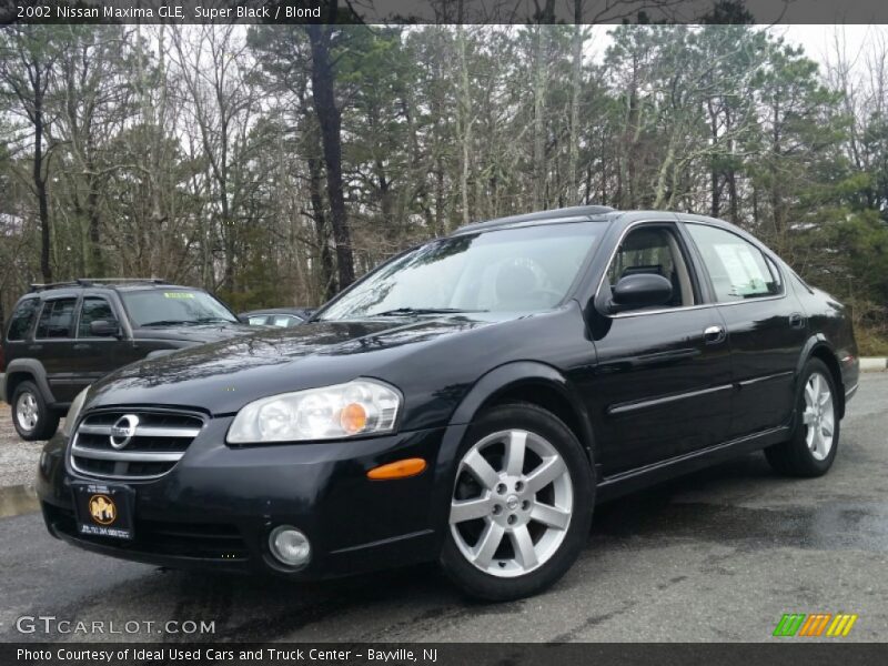Super Black / Blond 2002 Nissan Maxima GLE