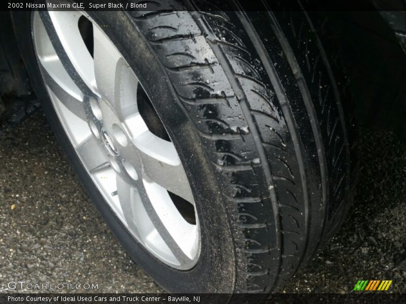 Super Black / Blond 2002 Nissan Maxima GLE