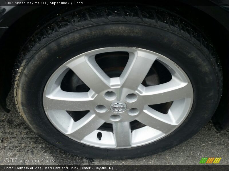 Super Black / Blond 2002 Nissan Maxima GLE