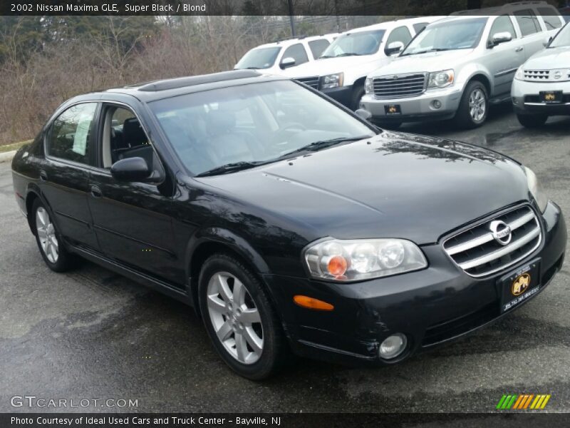 Super Black / Blond 2002 Nissan Maxima GLE