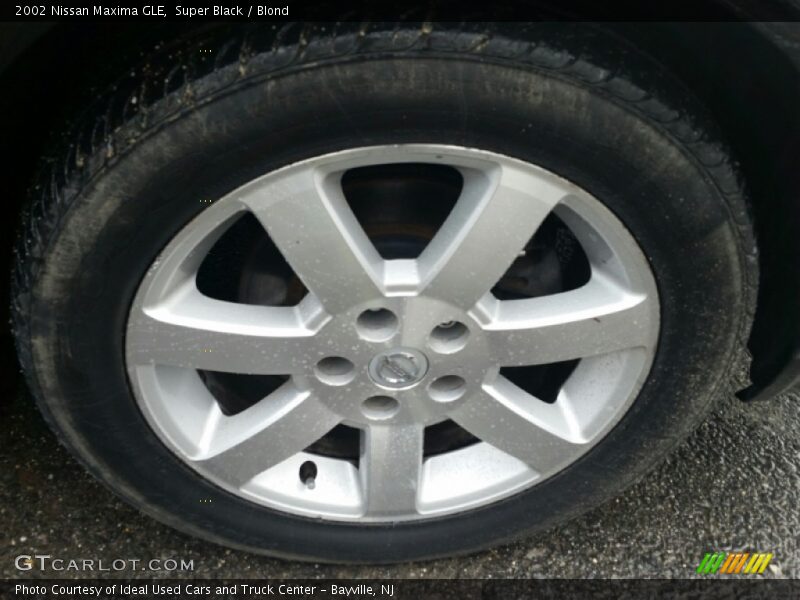 Super Black / Blond 2002 Nissan Maxima GLE