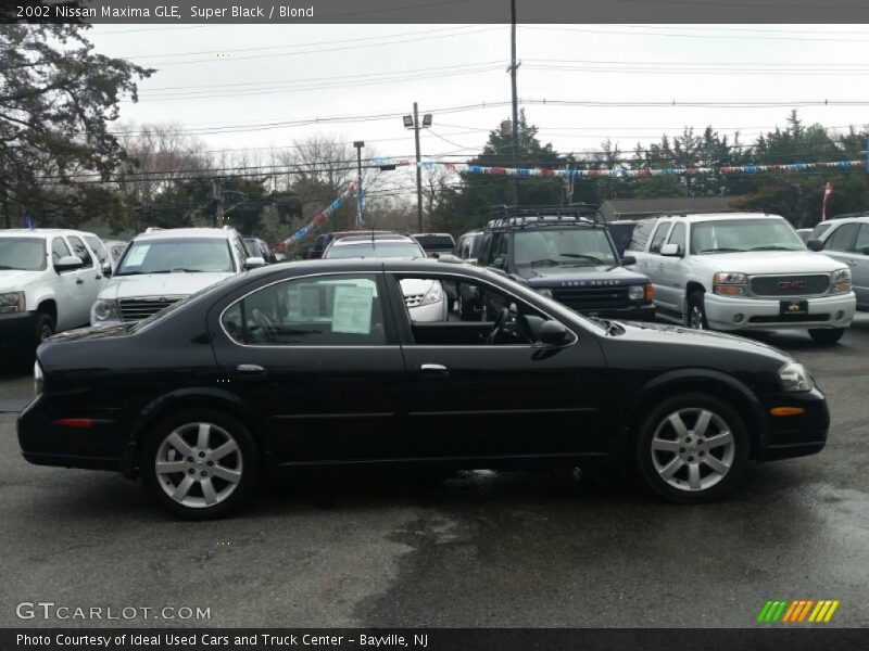 Super Black / Blond 2002 Nissan Maxima GLE