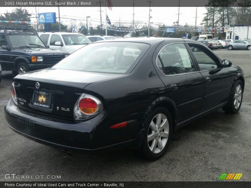 Super Black / Blond 2002 Nissan Maxima GLE