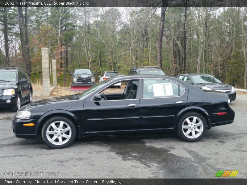Super Black / Blond 2002 Nissan Maxima GLE