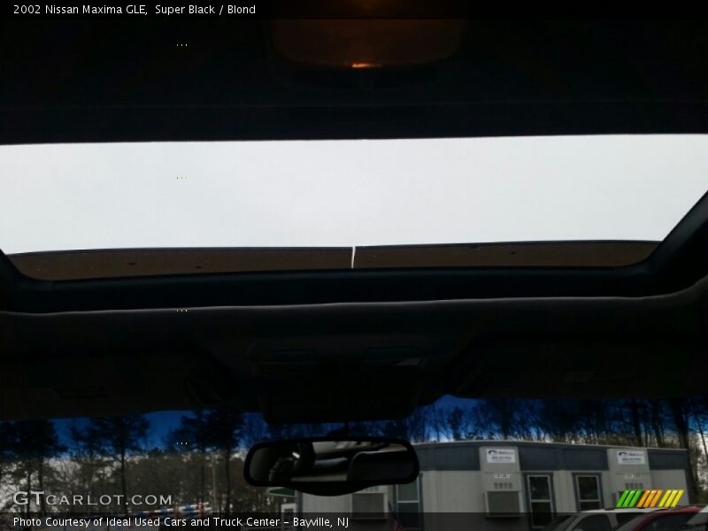 Super Black / Blond 2002 Nissan Maxima GLE