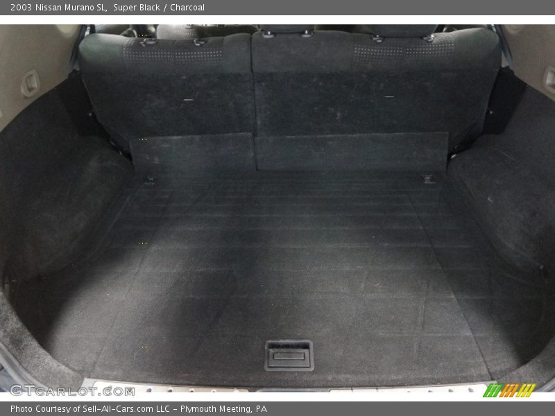 Super Black / Charcoal 2003 Nissan Murano SL