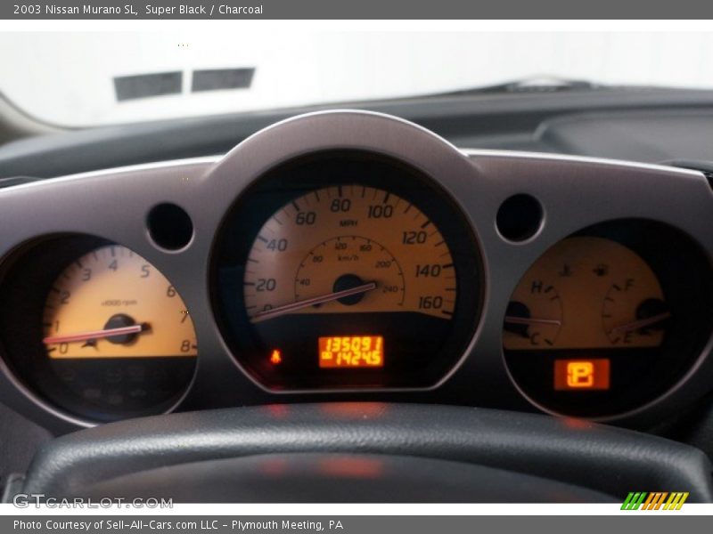 Super Black / Charcoal 2003 Nissan Murano SL