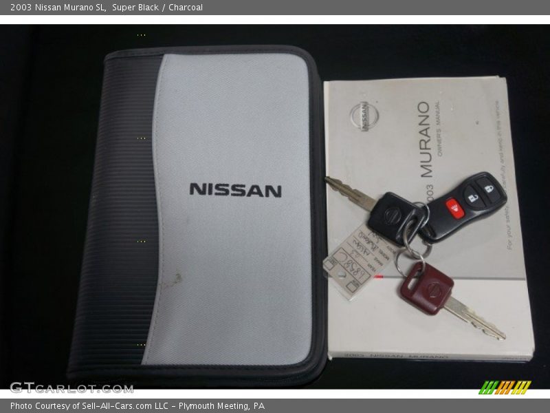 Super Black / Charcoal 2003 Nissan Murano SL