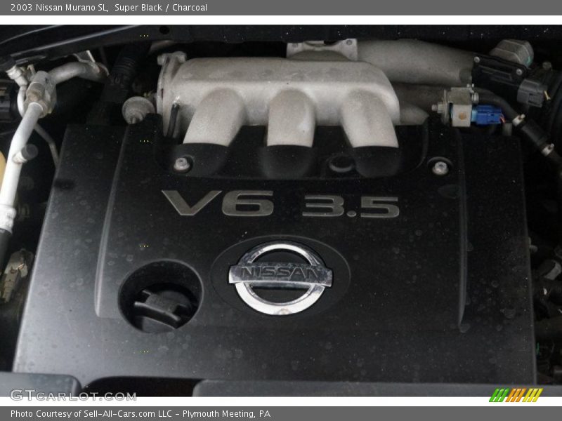 Super Black / Charcoal 2003 Nissan Murano SL