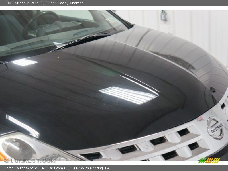 Super Black / Charcoal 2003 Nissan Murano SL