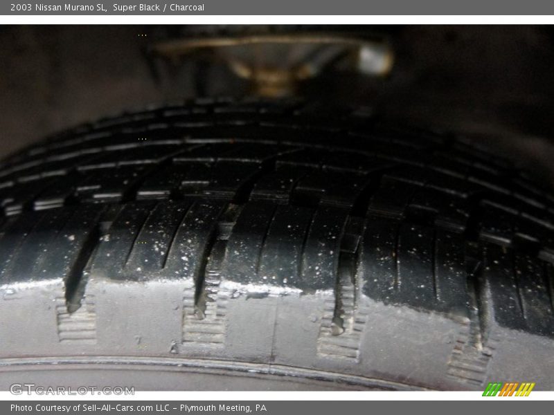 Super Black / Charcoal 2003 Nissan Murano SL