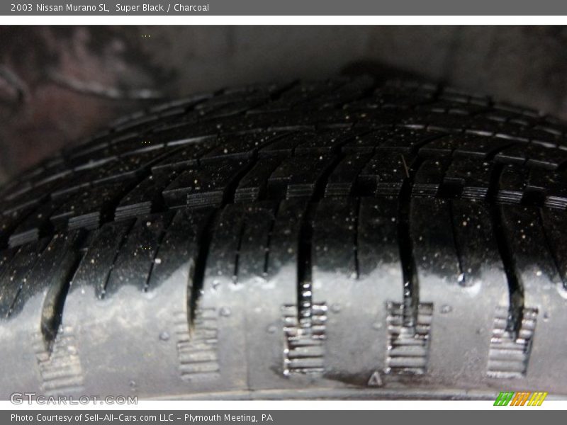 Super Black / Charcoal 2003 Nissan Murano SL