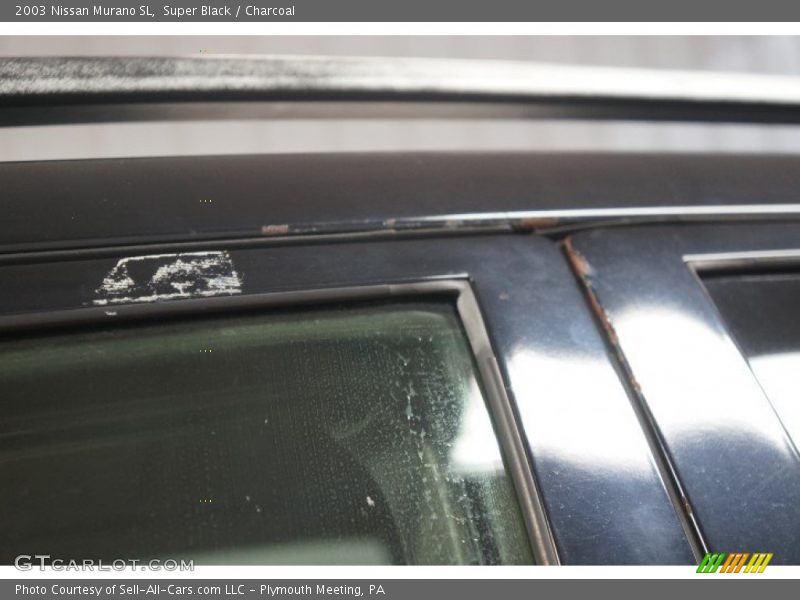 Super Black / Charcoal 2003 Nissan Murano SL