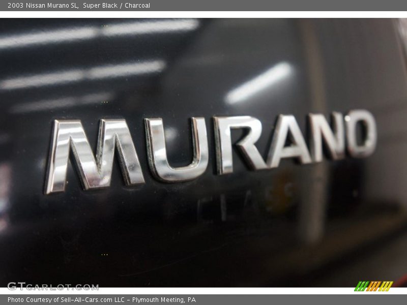 Super Black / Charcoal 2003 Nissan Murano SL