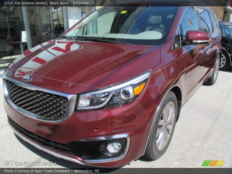 Black Berry / Burgundy 2015 Kia Sedona Limited