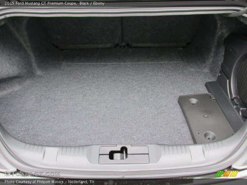  2015 Mustang GT Premium Coupe Trunk