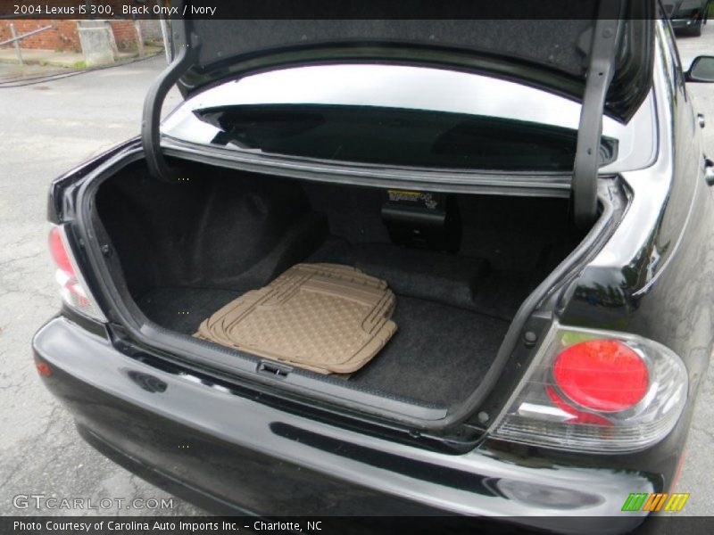 Black Onyx / Ivory 2004 Lexus IS 300