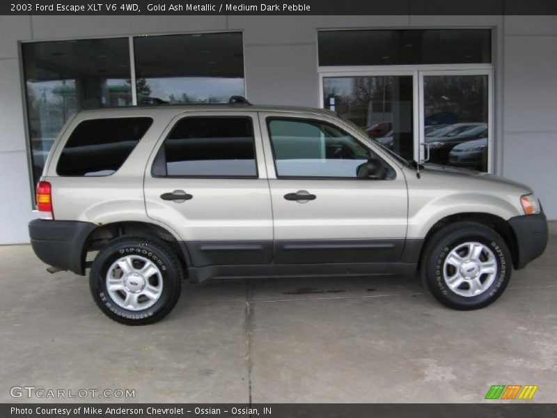  2003 Escape XLT V6 4WD Gold Ash Metallic