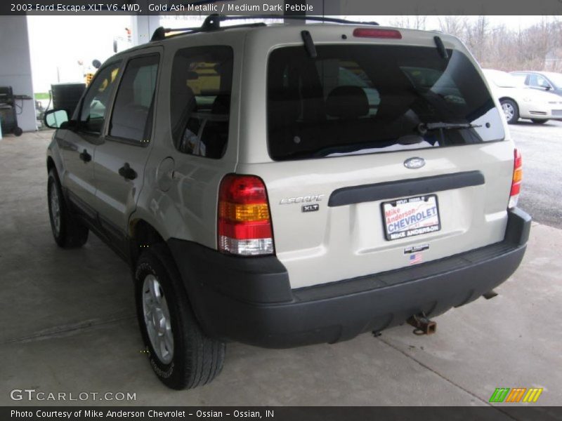 Gold Ash Metallic / Medium Dark Pebble 2003 Ford Escape XLT V6 4WD