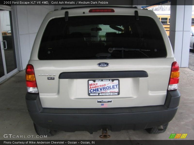 Gold Ash Metallic / Medium Dark Pebble 2003 Ford Escape XLT V6 4WD