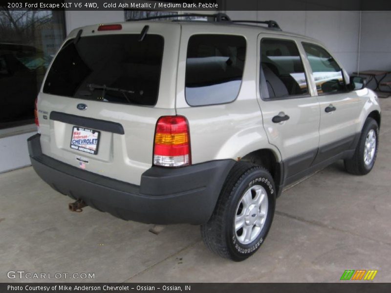 Gold Ash Metallic / Medium Dark Pebble 2003 Ford Escape XLT V6 4WD