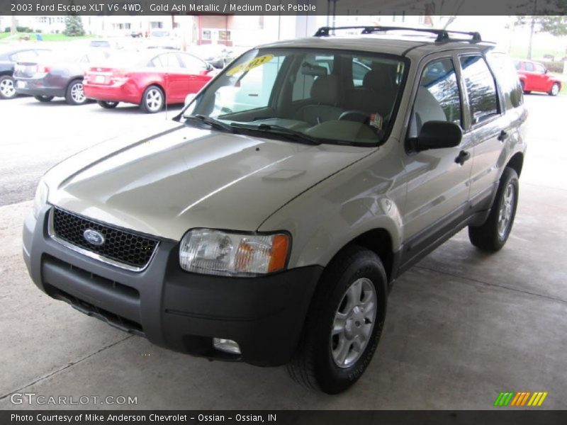 Gold Ash Metallic / Medium Dark Pebble 2003 Ford Escape XLT V6 4WD