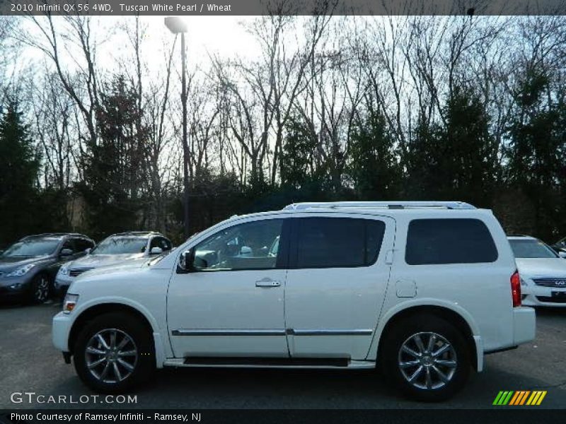 Tuscan White Pearl / Wheat 2010 Infiniti QX 56 4WD