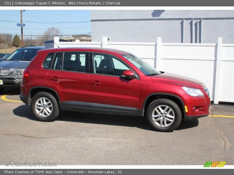 Wild Cherry Metallic / Charcoal 2011 Volkswagen Tiguan S 4Motion
