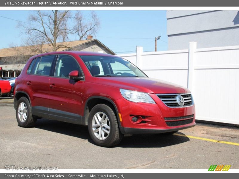 Wild Cherry Metallic / Charcoal 2011 Volkswagen Tiguan S 4Motion