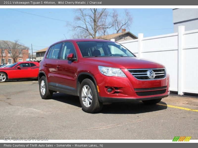 Wild Cherry Metallic / Charcoal 2011 Volkswagen Tiguan S 4Motion