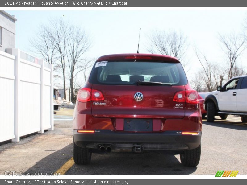 Wild Cherry Metallic / Charcoal 2011 Volkswagen Tiguan S 4Motion