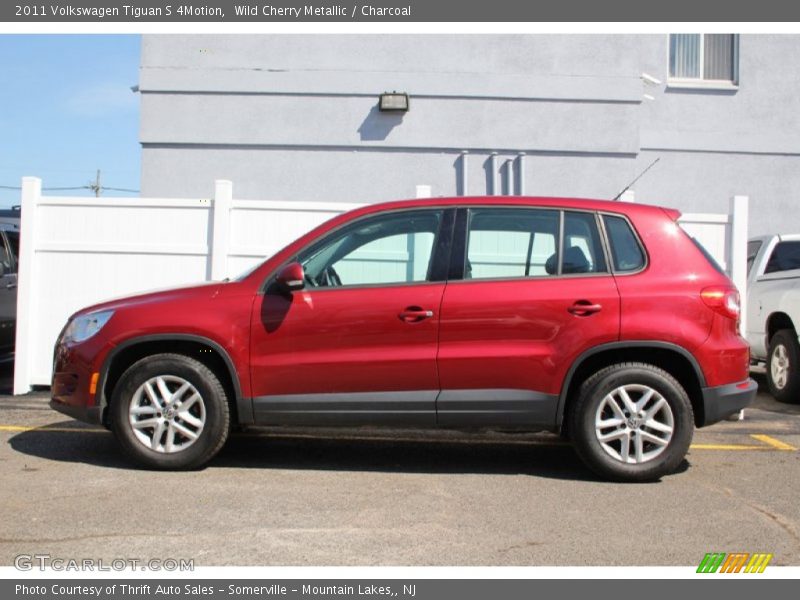 Wild Cherry Metallic / Charcoal 2011 Volkswagen Tiguan S 4Motion