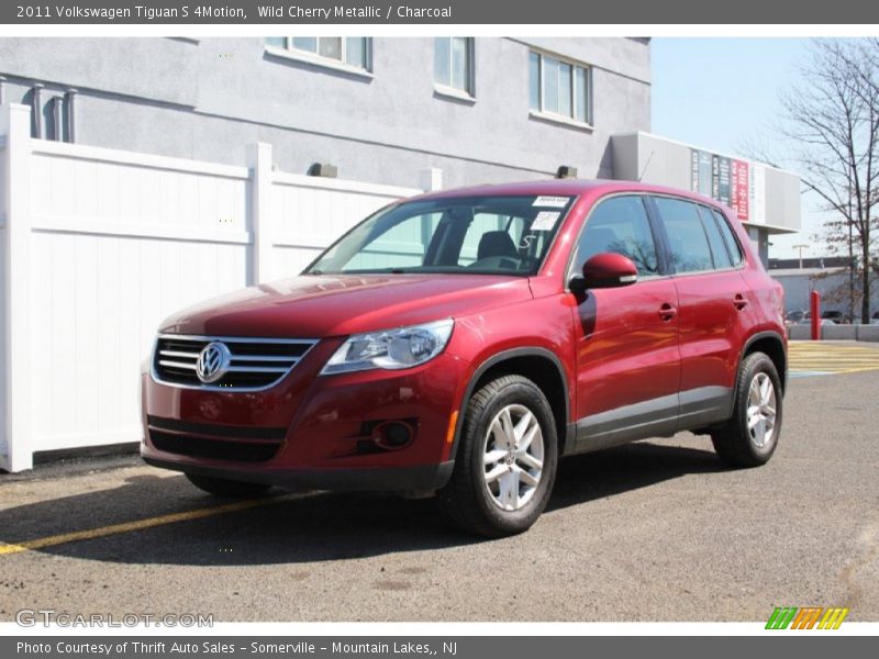 Wild Cherry Metallic / Charcoal 2011 Volkswagen Tiguan S 4Motion