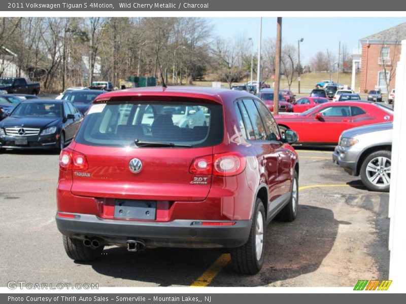 Wild Cherry Metallic / Charcoal 2011 Volkswagen Tiguan S 4Motion