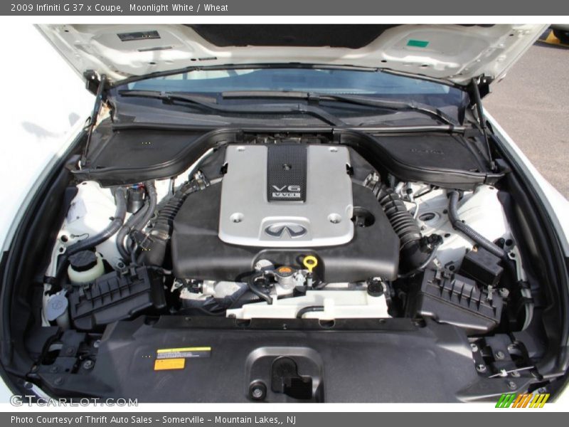 Moonlight White / Wheat 2009 Infiniti G 37 x Coupe