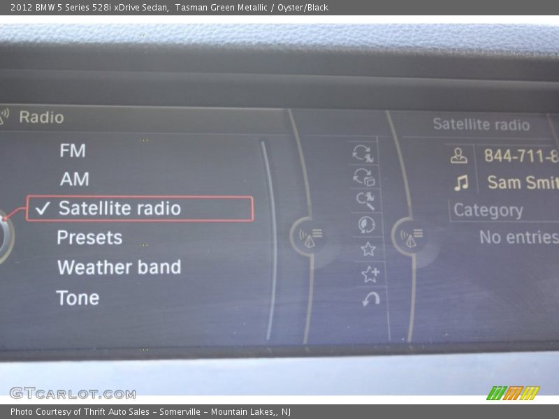Tasman Green Metallic / Oyster/Black 2012 BMW 5 Series 528i xDrive Sedan